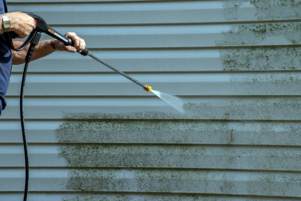 Best Sidewalk and Walkway Cleaning  in Cameron, TX